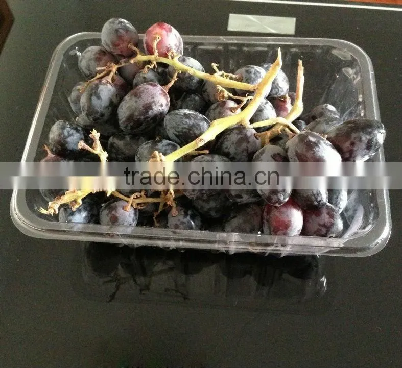 supermarket fruit container