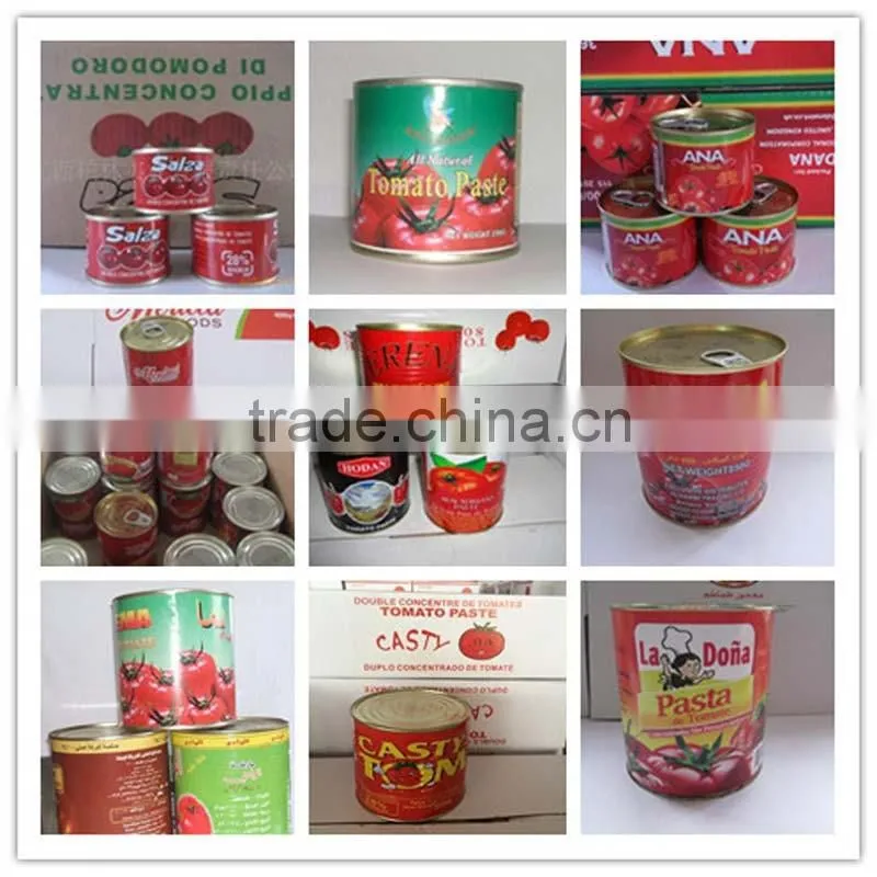 GINNY quality Tomato Paste, Tinned Tomato Paste 28/30