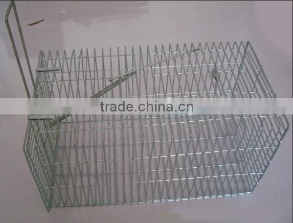 Chicken Layer Cages