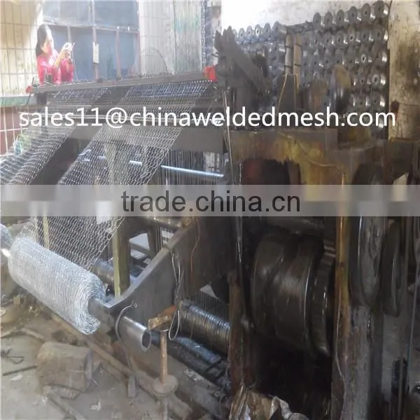 Best Price Hexagonal Mesh from Anping factory
