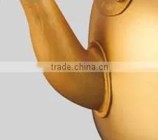 1L - 10L Aluminum Yellow Kettle with inserted spout