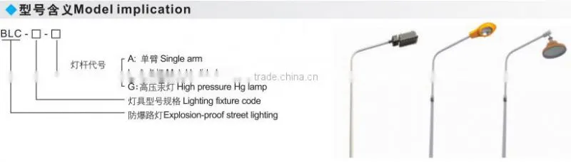 BLC- Explosion proof street light
