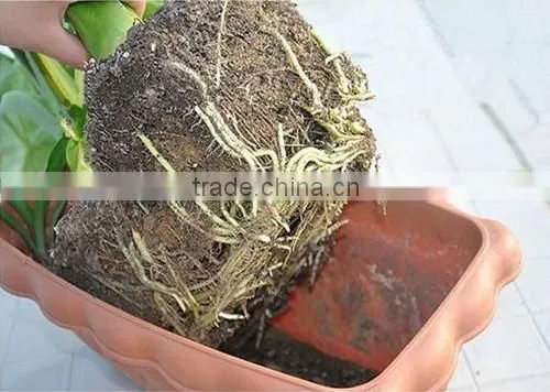 SAP potassium polyacrylate water gel for forest