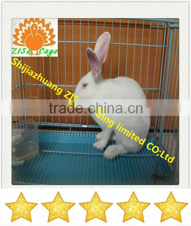 24 rabbits Automatic rabbit breeding cage equipment in kenya
