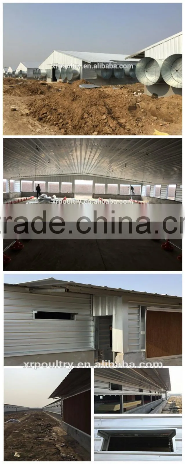 automatic environmental controlled chicken farms construction