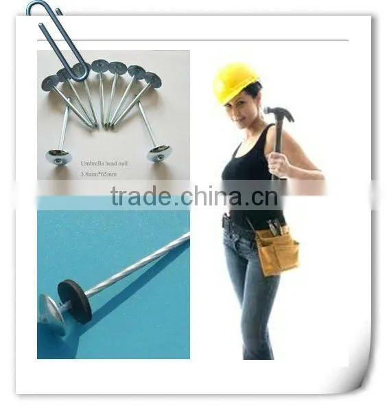 Ring shank galvanized roofing nail with umbrella head