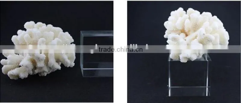 Five Minutes Rapid Clear Epoxy Resin Hardener AB Glue
