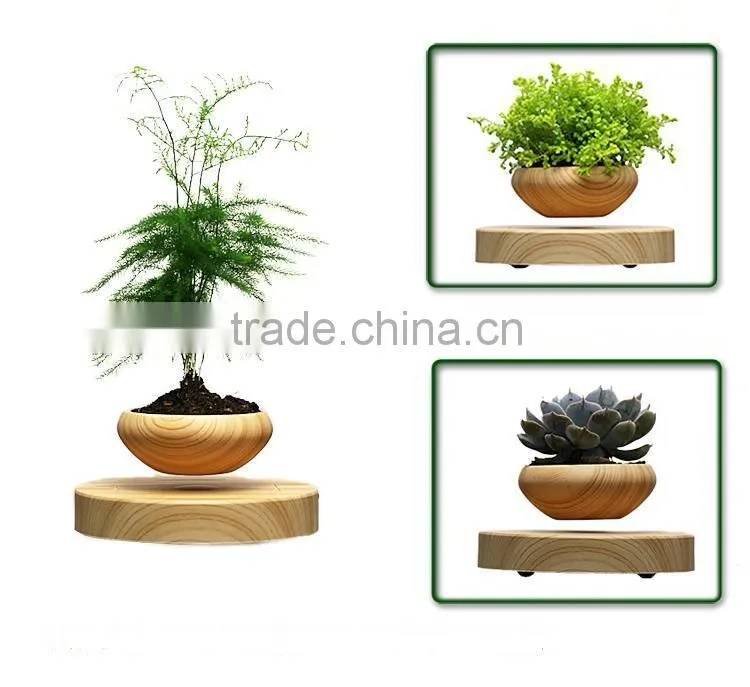 antique flower pot planters