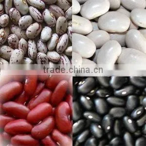 Dark Red Kidney Beans (new)