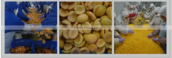 High quality frozen peach cube price