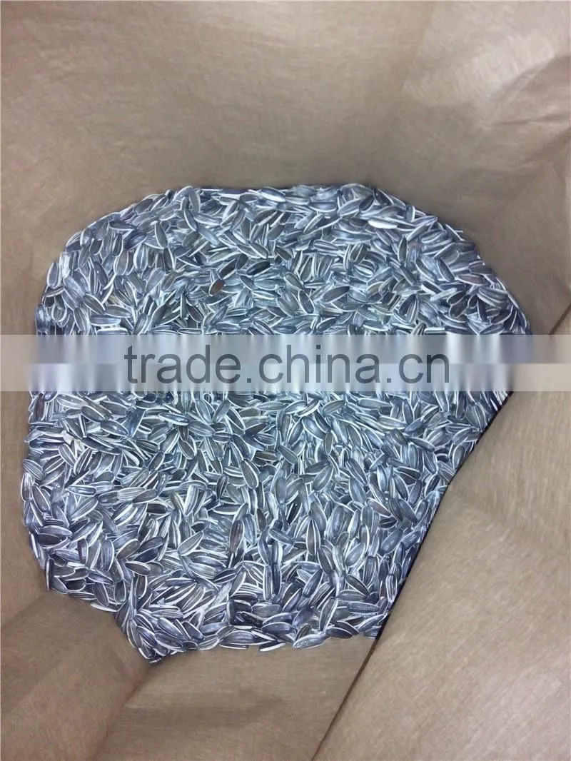 Hot Sale 5009 Big Size Sunflower Seeds