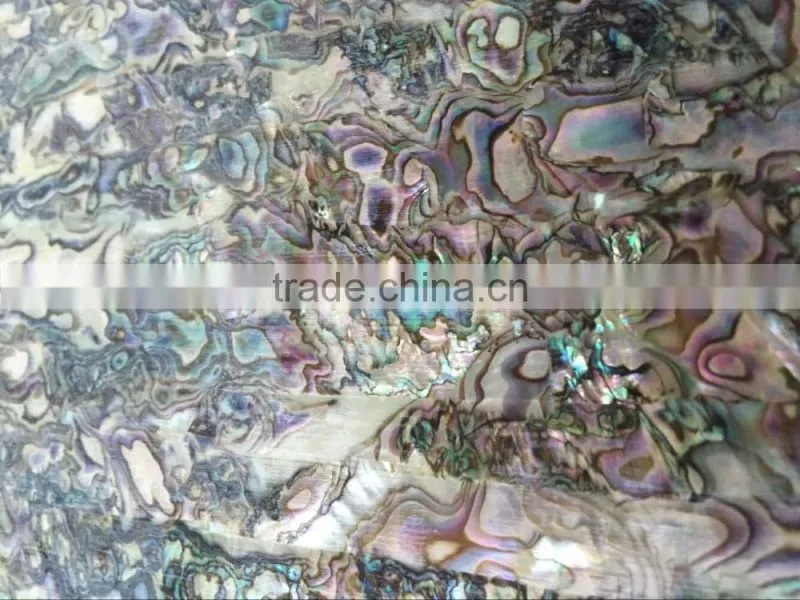 Modern Mexico Paua Shell Wallpaper For Interior Spa Decoration