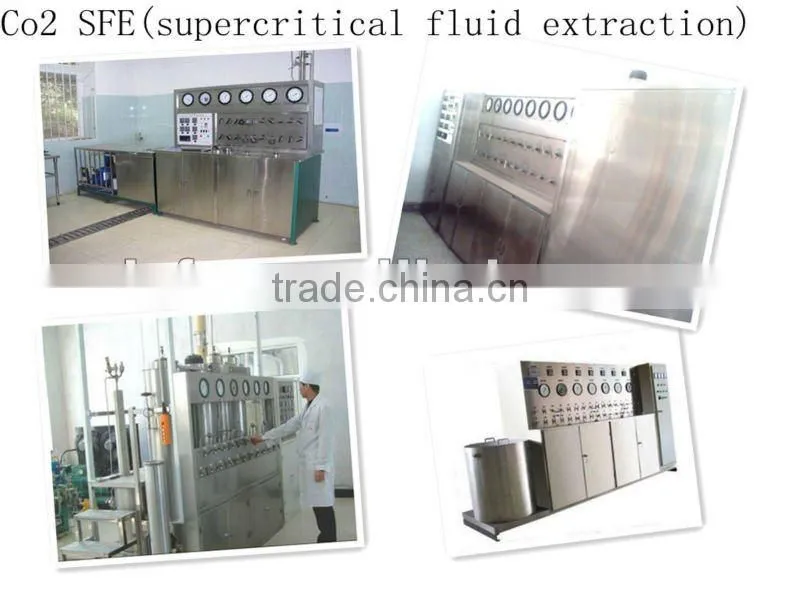 Herbal Extract Supercritical Co2 Supercritical Extraction plant