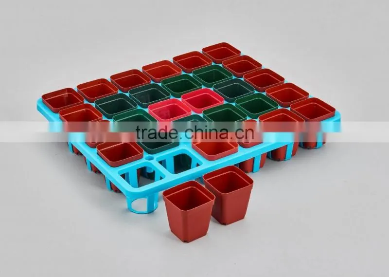 Flower Pot for succulent plant