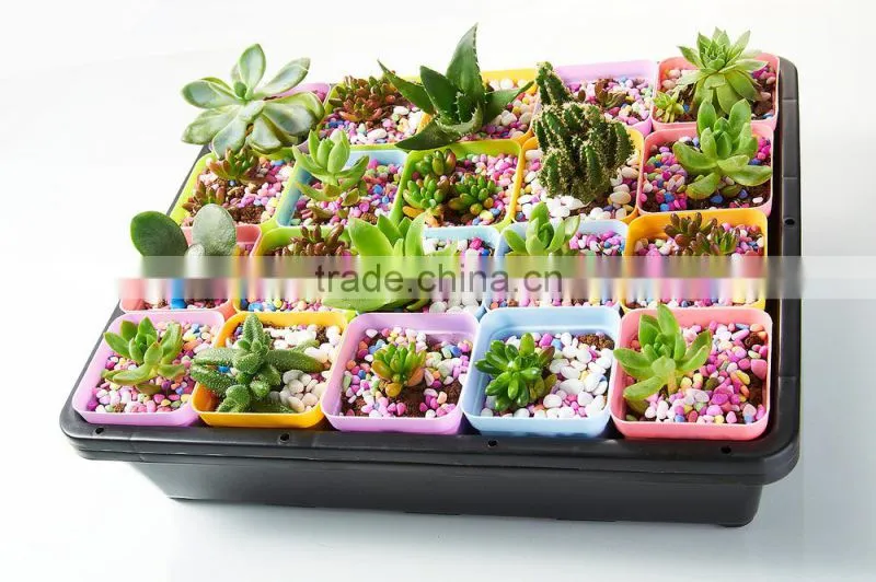 Plastic Raised Garden Bed