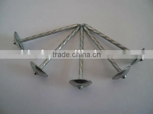 The iron nail cap china supplier on hot sale