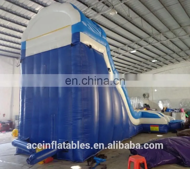 giant inflatable water slide for adult,Ace Summer Water slide,adult size inflatable water slide