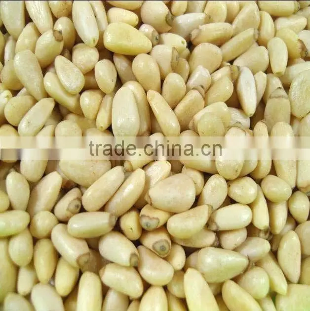 Pine nut kernel