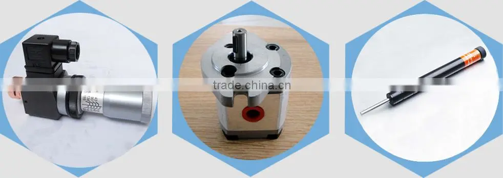 Hydraulic motor