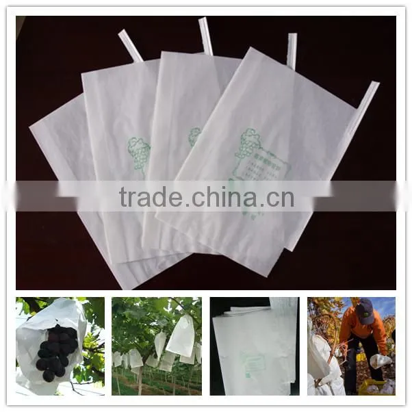 Grape growing paper bag for agriculture