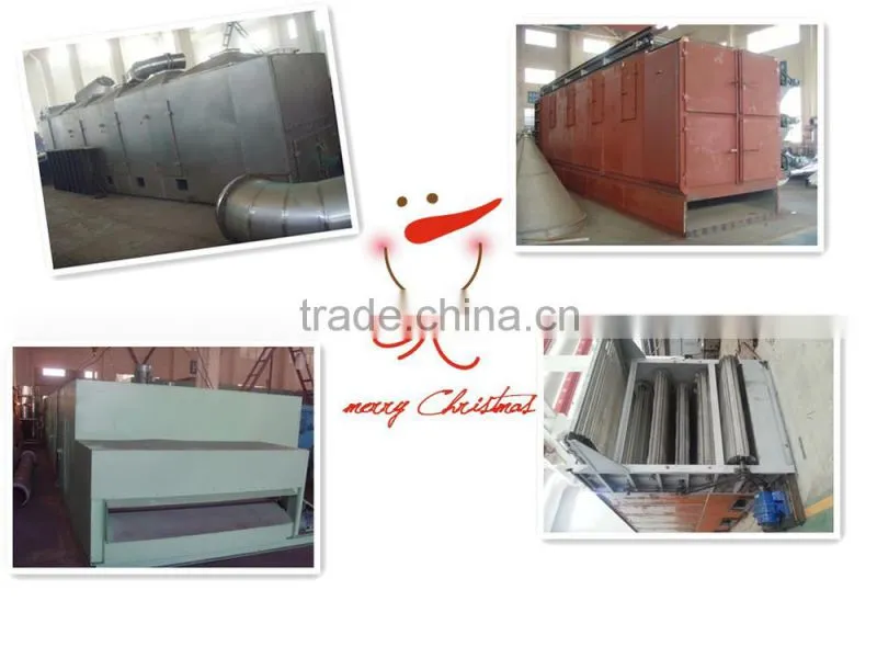 Mesh belt dryer for cabbage