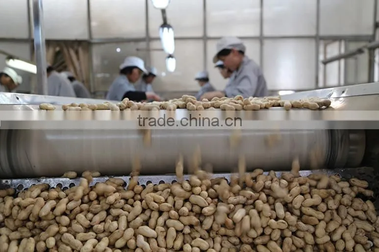 best selling products wholesale roasted peanuts roast peanut in shell price