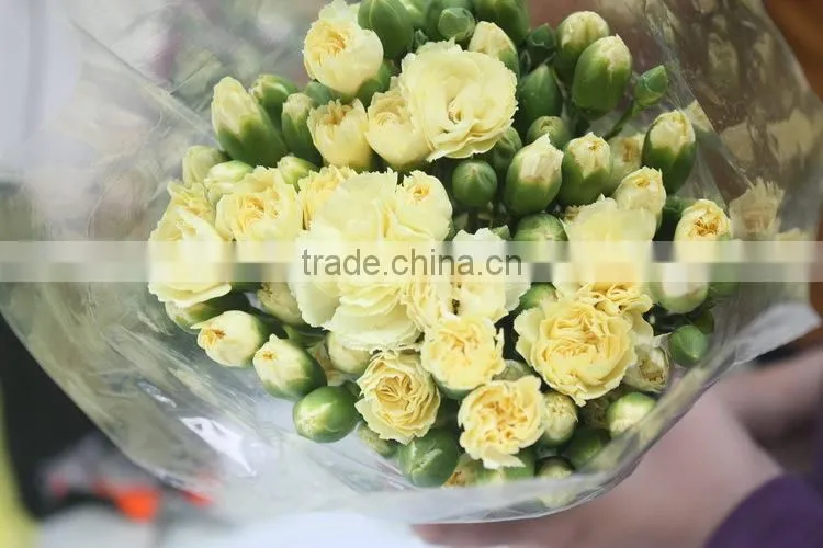 Colorful hot sale flowers carnation wedding flowers