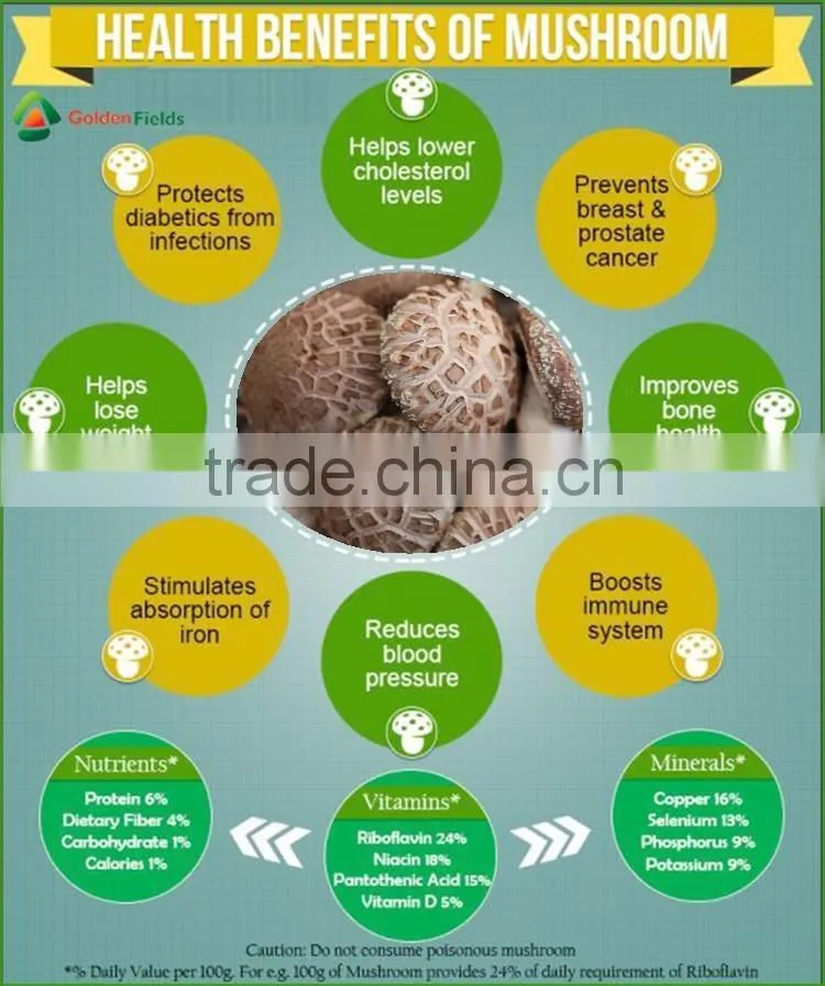 Market Price for Mushroom,Shiitake Mushroom Price,Mushroom For Sale