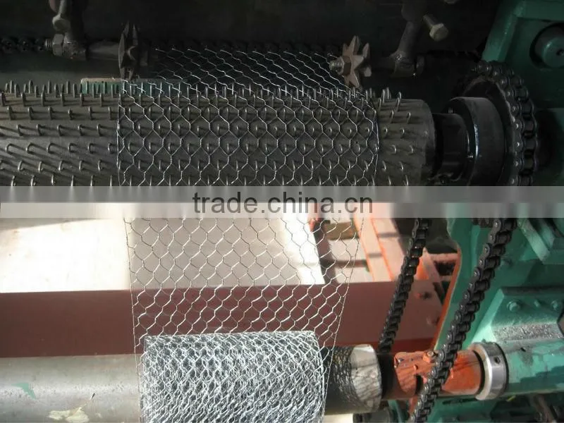 Electro Galvanized Hexagonal Wire Mesh