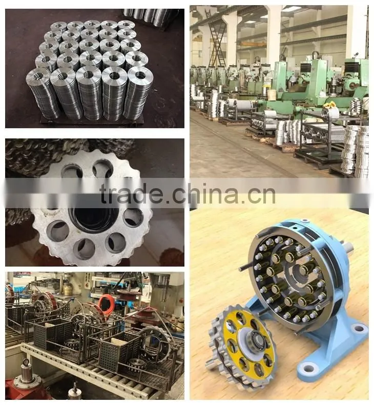 Customized Reducer Parts Cycloid Gear