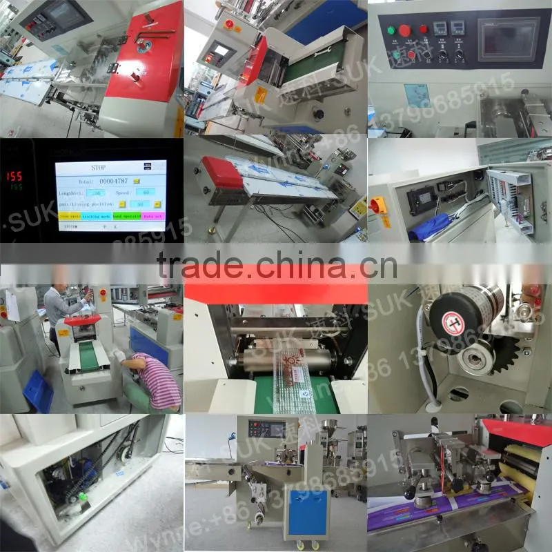 SK-350X Italy horizontal flow packing machine