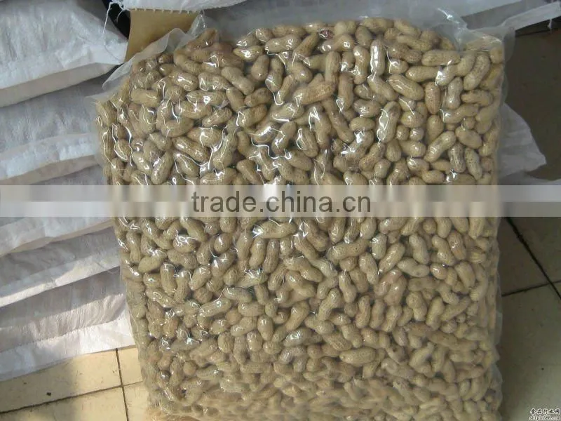 shandong 2015 crop bulk roasted peanuts