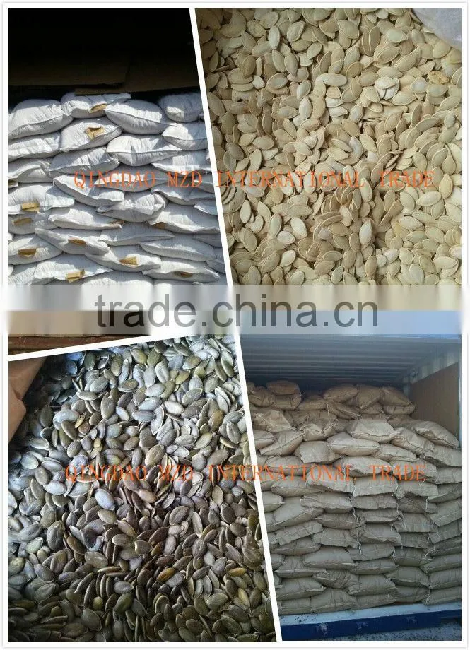 2016 crop Pumpkin Seeds Kernels A, AA grade, GWS Kernels