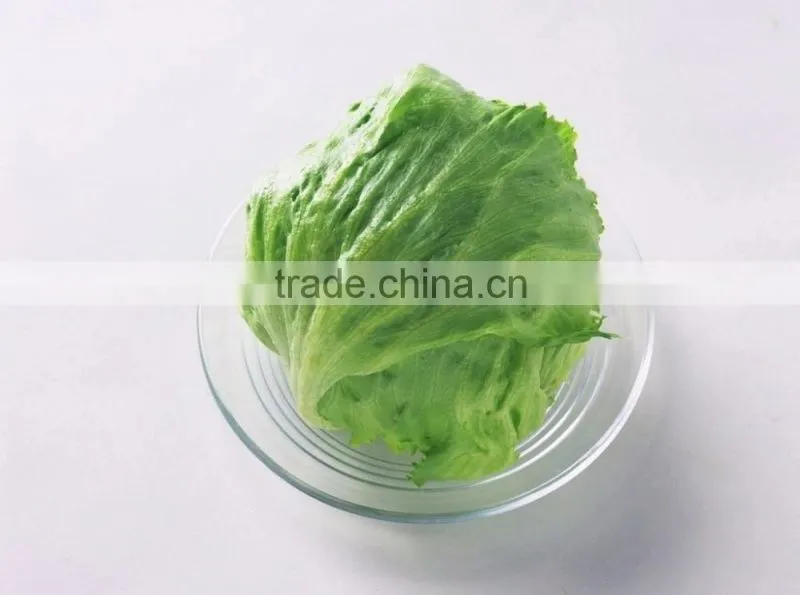 green lettuce for cooking