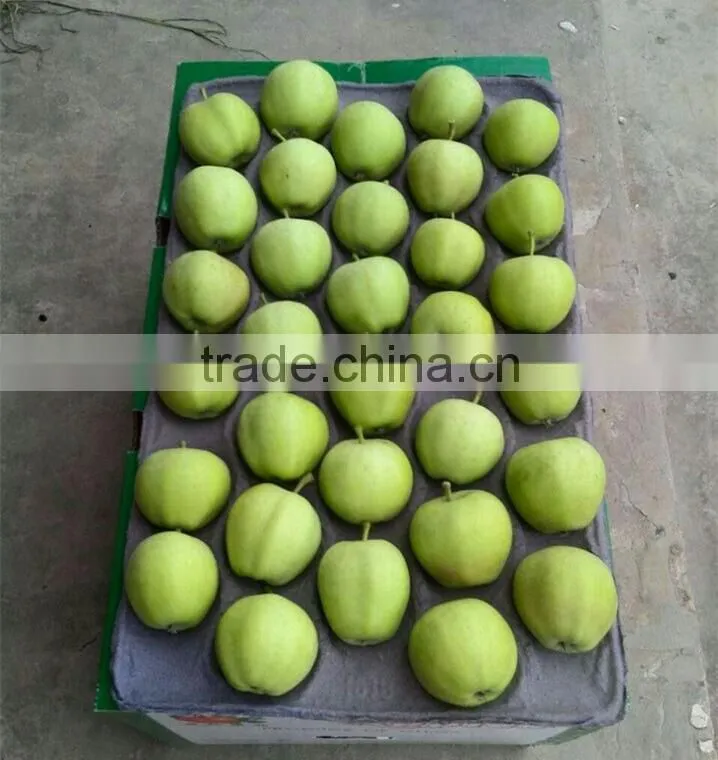 Fresh Green Apples