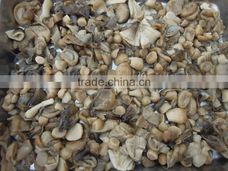 market prices for mushroom price canned mushroom