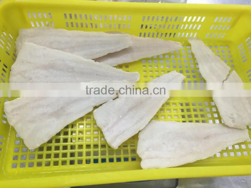 Frozen alaska pollock fish fillet for thailand from china seafood exporter
