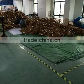 Suzhou Slun Import & Export Co., Ltd. company overview - view 3