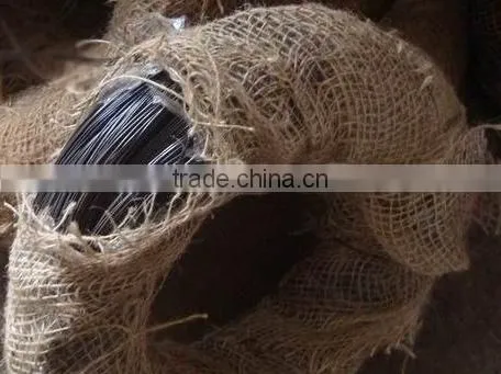 Low price electro galvanized iron wire for binding,hot galvanized wire with price