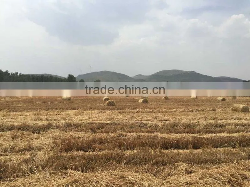 Walking type straw bundling machine 9YK-8070