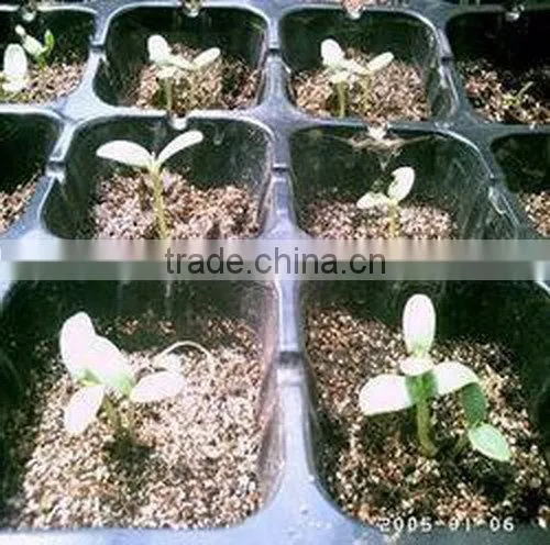 Factory in Zhejiang China Fast Delivery competitive price square seed tray