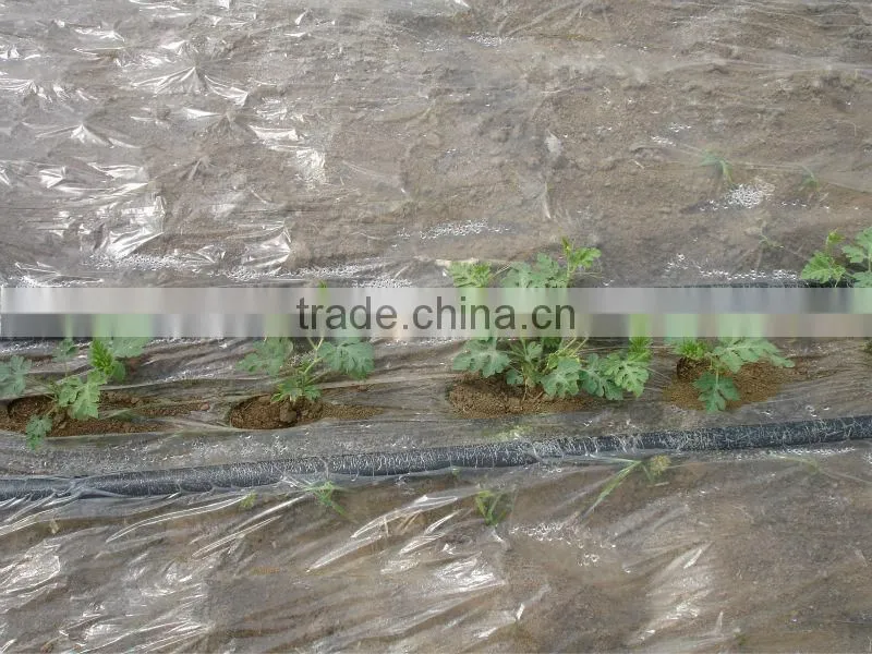 UV protect anti fog Transparent Co extruded PE Cover Film PE mulch film for watermelon greenhouse