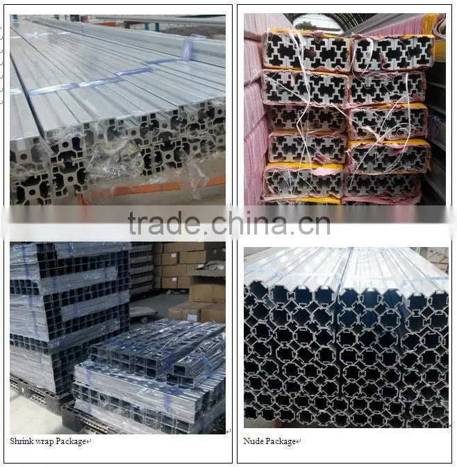 china bicycle frames