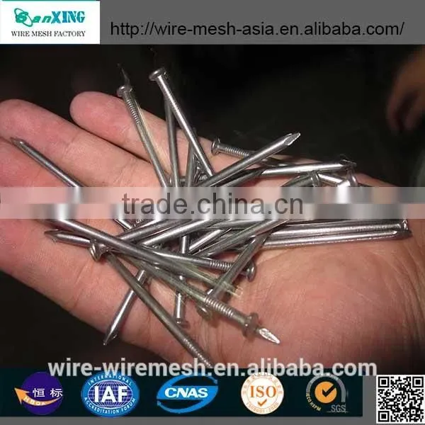 Common Nail price of Iron Nail Factory