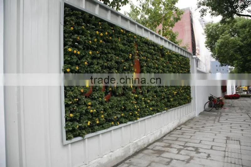 2016 new garden design hydroponic growing systems types of ornamental plants