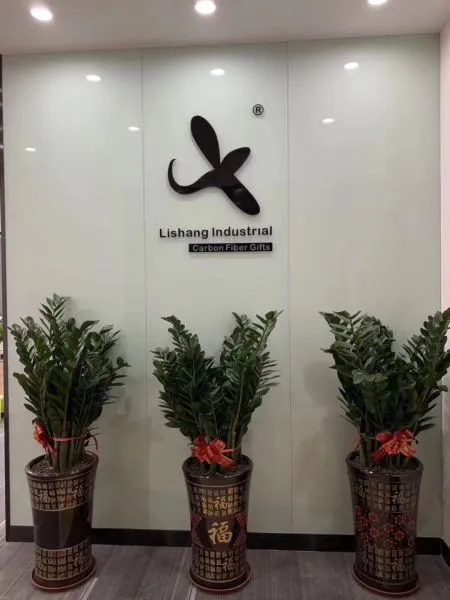 Dongguan Lishang Industrial Co.,Ltd. company overview - view 1