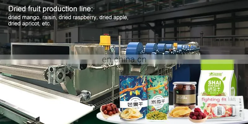 Automatic dry/dried/drying fruit plant machine processing line manufacturer