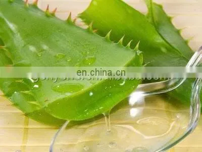 aloe vera peeling machine/aloe vera peeler machine