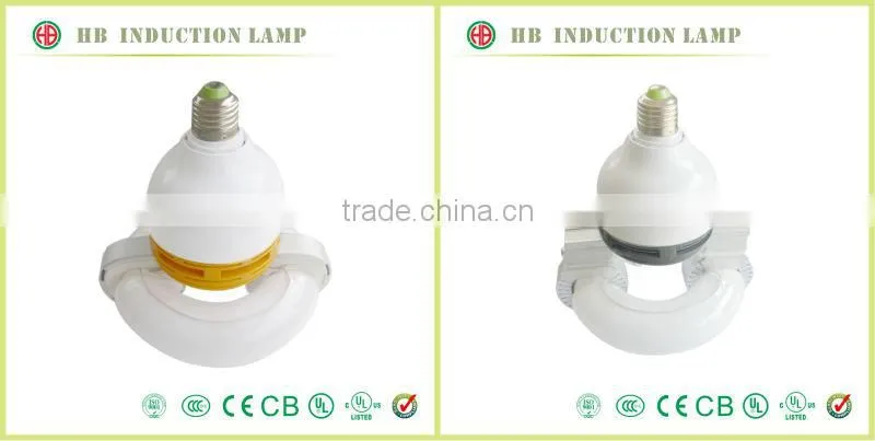 HB 24W-400W price 400W induction lamp