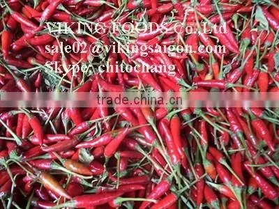 SMALL CHILI HIGH QUALITY FROM VIETNAM